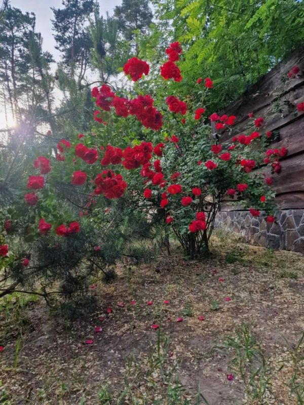 Продам 2х поверховий  будинк 216  м  по вул. Зелена Піщанка 25 соток