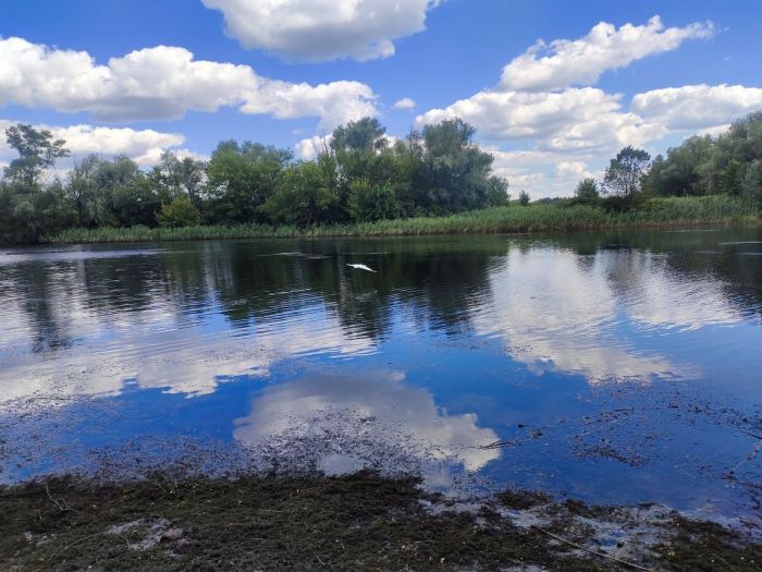 Продам дачний будинок 3 кімнати 60 м² 2 поверхи в Обуховке СТ Приіднепровець