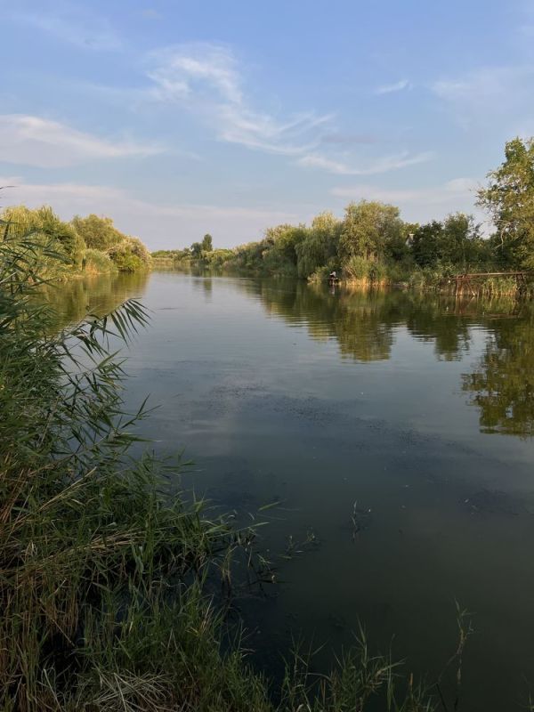 Продам дачу 8 соток Ермолаевка СТ Строитель перша лінія від води