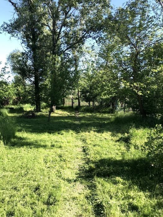 Дача в Обуховке. Берег реки Орель, пять метров от воды