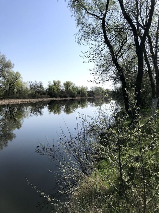 Дача в Обуховке. Берег реки Орель, пять метров от воды