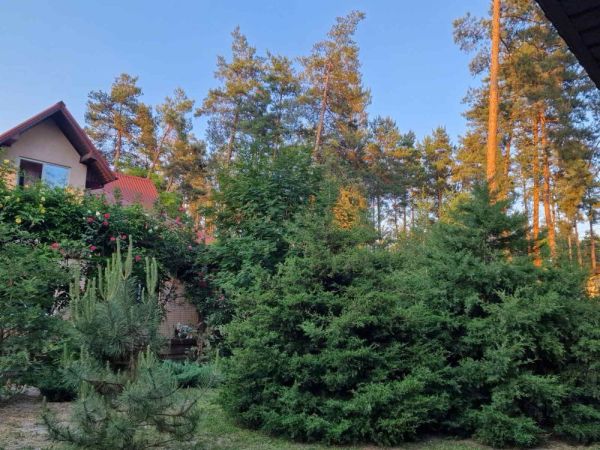 Продаж 2х поверхового будинку по вул. Зелена Піщанка 25 соток