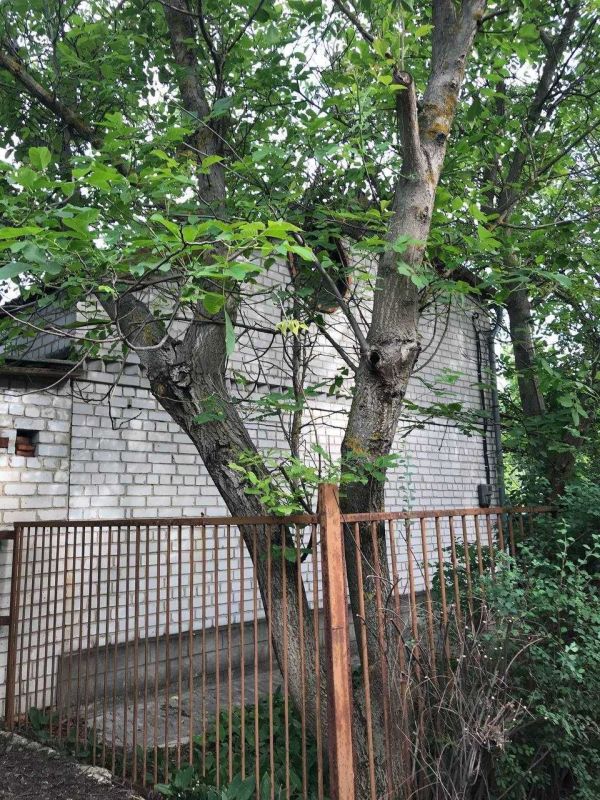 Продається двоповерховий будинок 4к 62 м² з ділянкою 15 соток в Обухівці