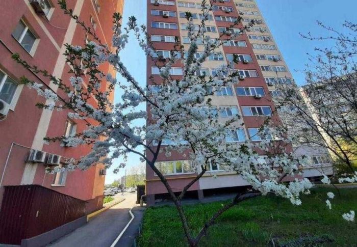 Сдам 2к с ремонтом 70 м² жк Рубиновий Покровский массив