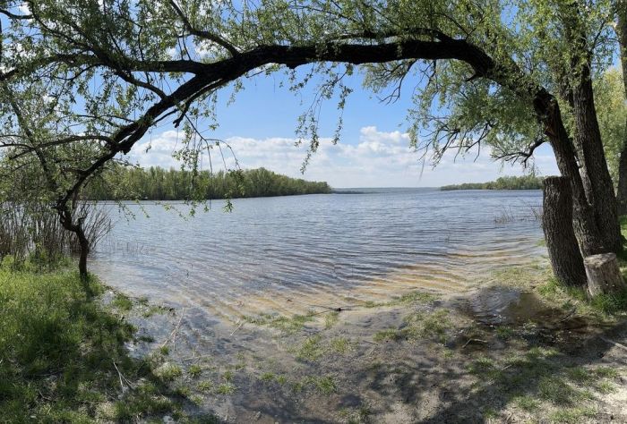Продам дачний будинок зі своїм берегом з басейном та газовим опаленням