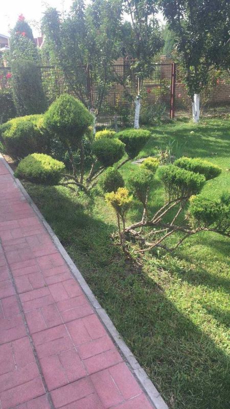 Продам дачу 3к 80 м², 4.4 сотки ст Смарагд на березі Орелі