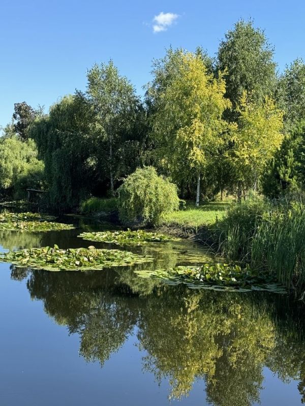 Продам дачний будинок зі своїм берегом з басейном та газовим опаленням