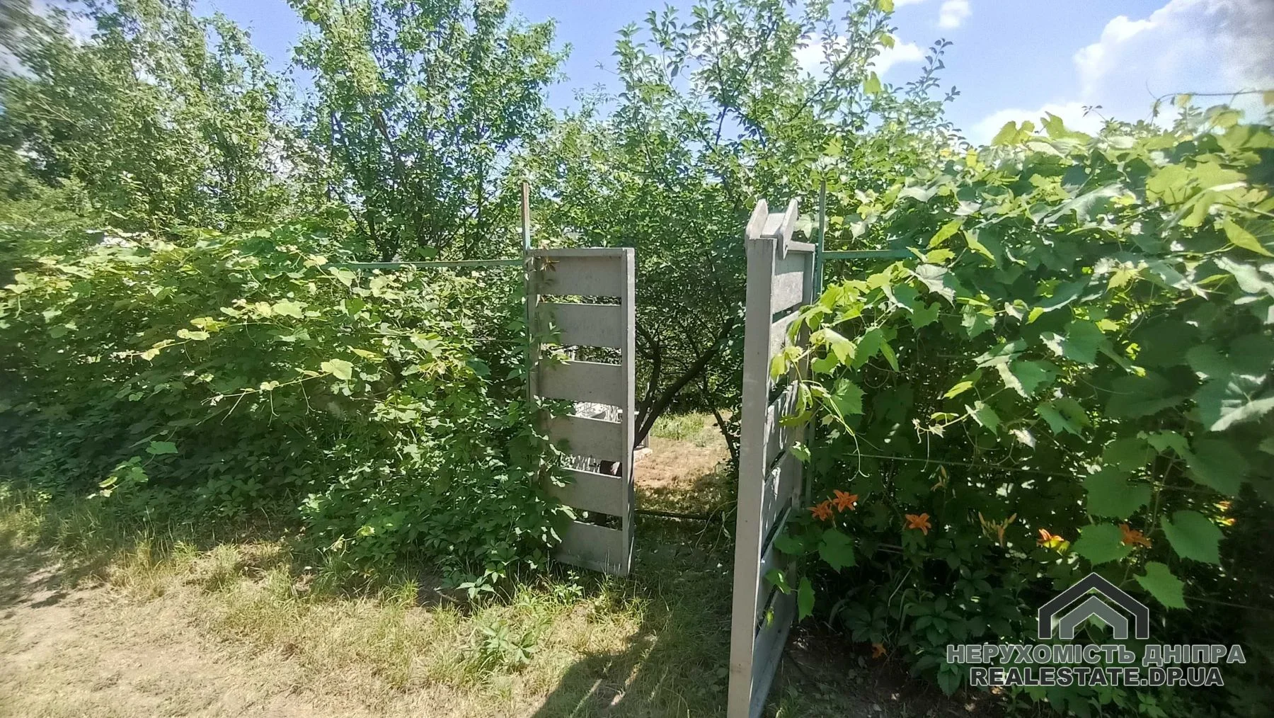 Продам недорого дачу в Таромському 8 соток · 4