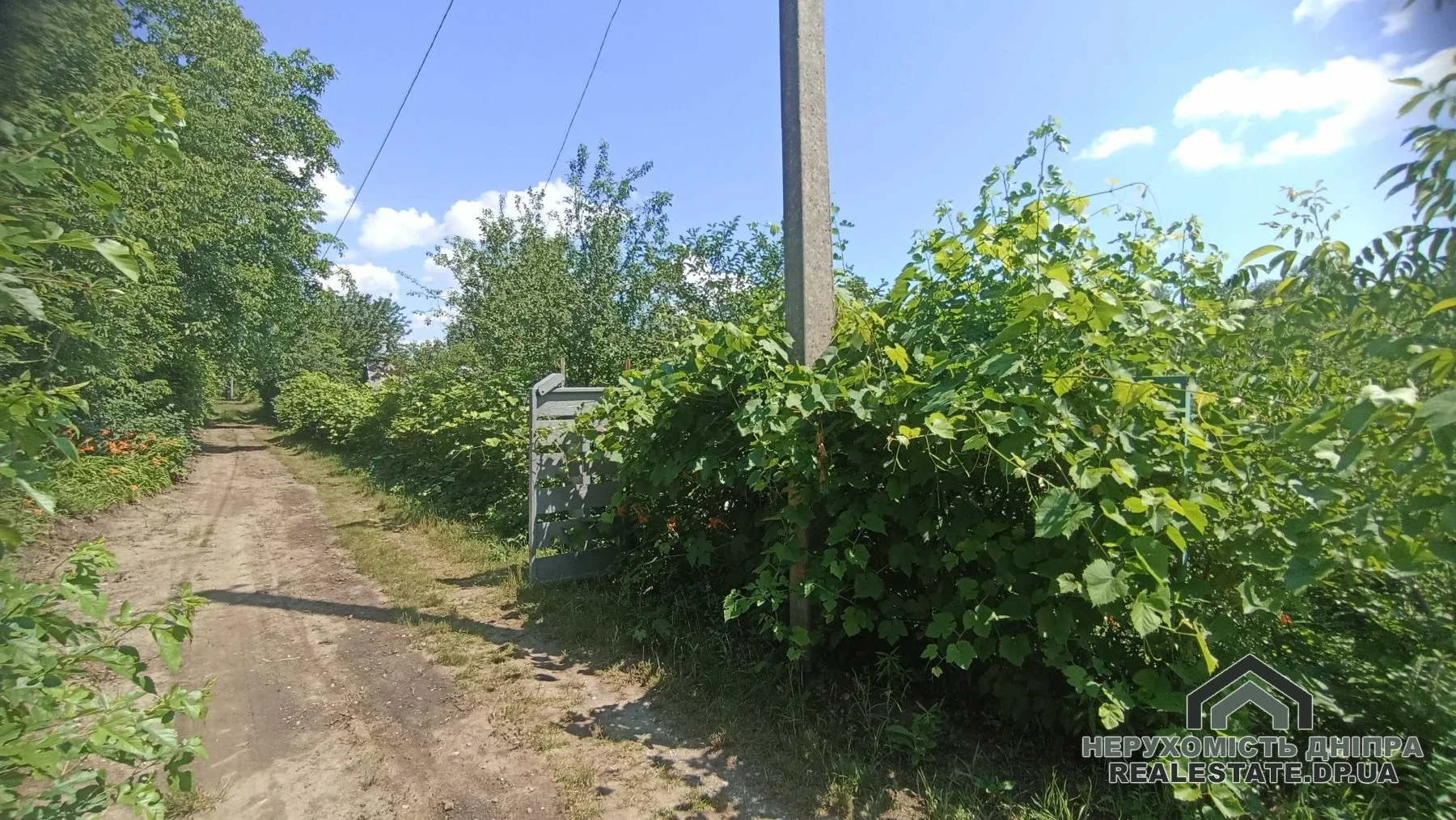 Продам недорого дачу в Таромському 8 соток · 3